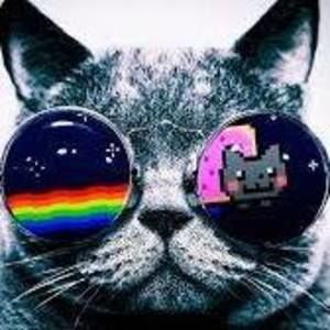 Meet your Posher, Jack